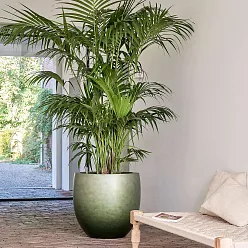 Gradient Large Round Planter | Polyresin Indoor Plant Pot