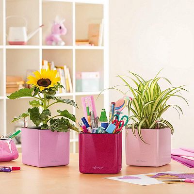 LECHUZA CUBE Glossy Kiss Square Poly Resin Indoor Self-watering Planter