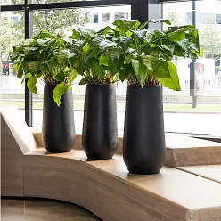 Fibrestone Nax Tall Planter by Idealist Premium