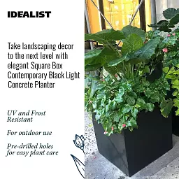 IDEALIST Lite Square Box Contemporary Light Concrete Planter