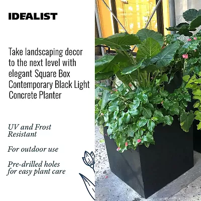 IDEALIST Lite Square Box Contemporary Light Concrete Planter