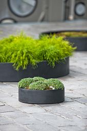 Fibrestone Max Low Round Planter by Idealist Premium