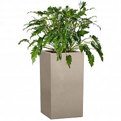 LECHUZA CANTO Stone High Square Tall Poly Resin Self-watering Planter