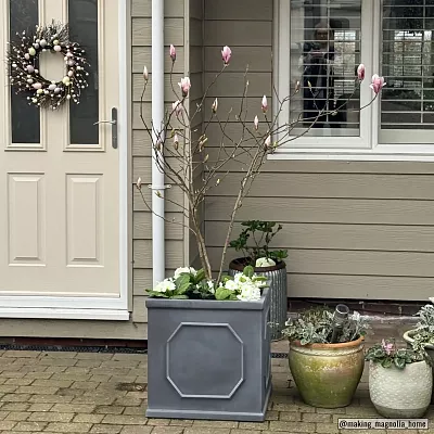 IDEALIST Lite Faux Lead Chelsea Box Square Light Concrete Planter