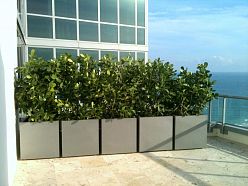 Geo Fiberglass Cube Aluminium Planter Pot In/Out