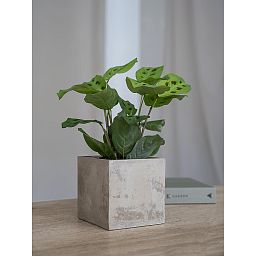 Grace Concrete Square Planter by Idealist Premium